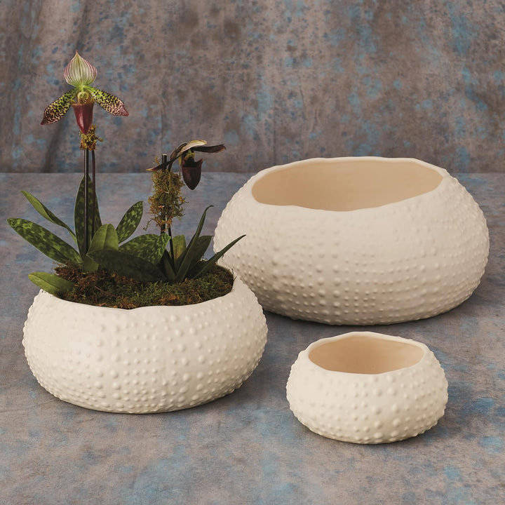Ceramic Urchin Bowl - Matte White - Medium