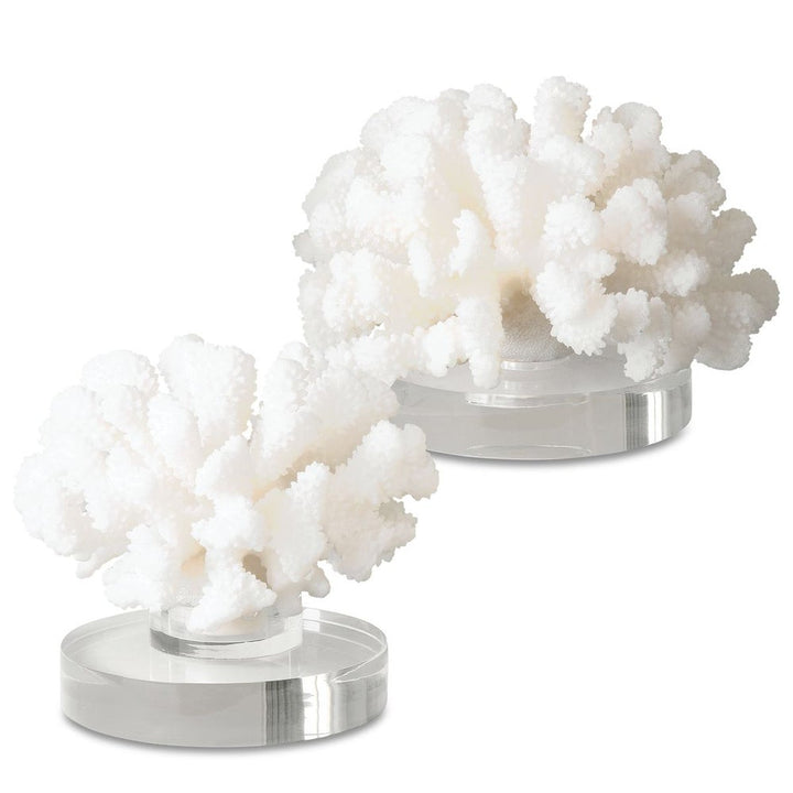 Hard Coral Sculpture - Set of 2