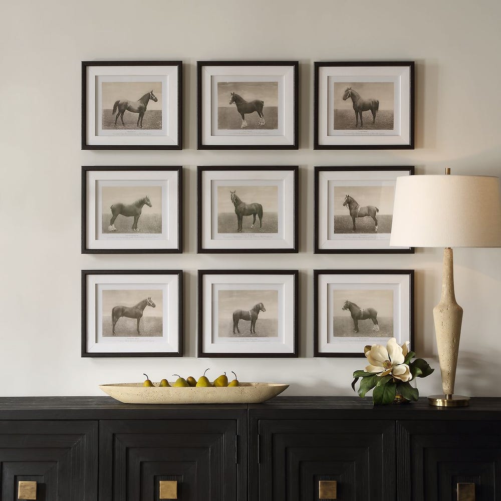 Equine Dynasty Framed Prints - Set of 9