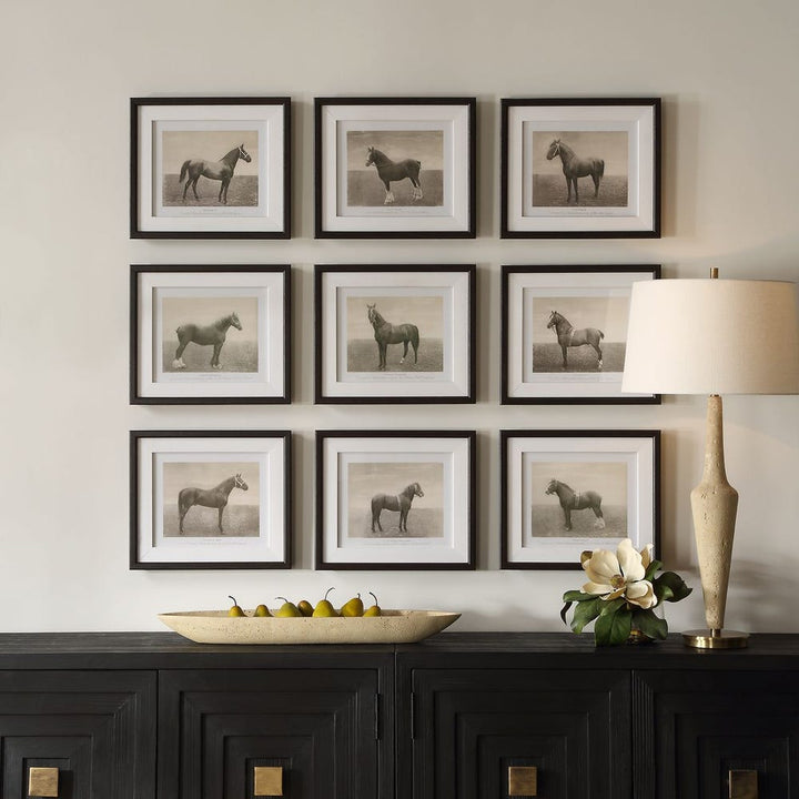 Equine Dynasty Framed Prints - Set of 9