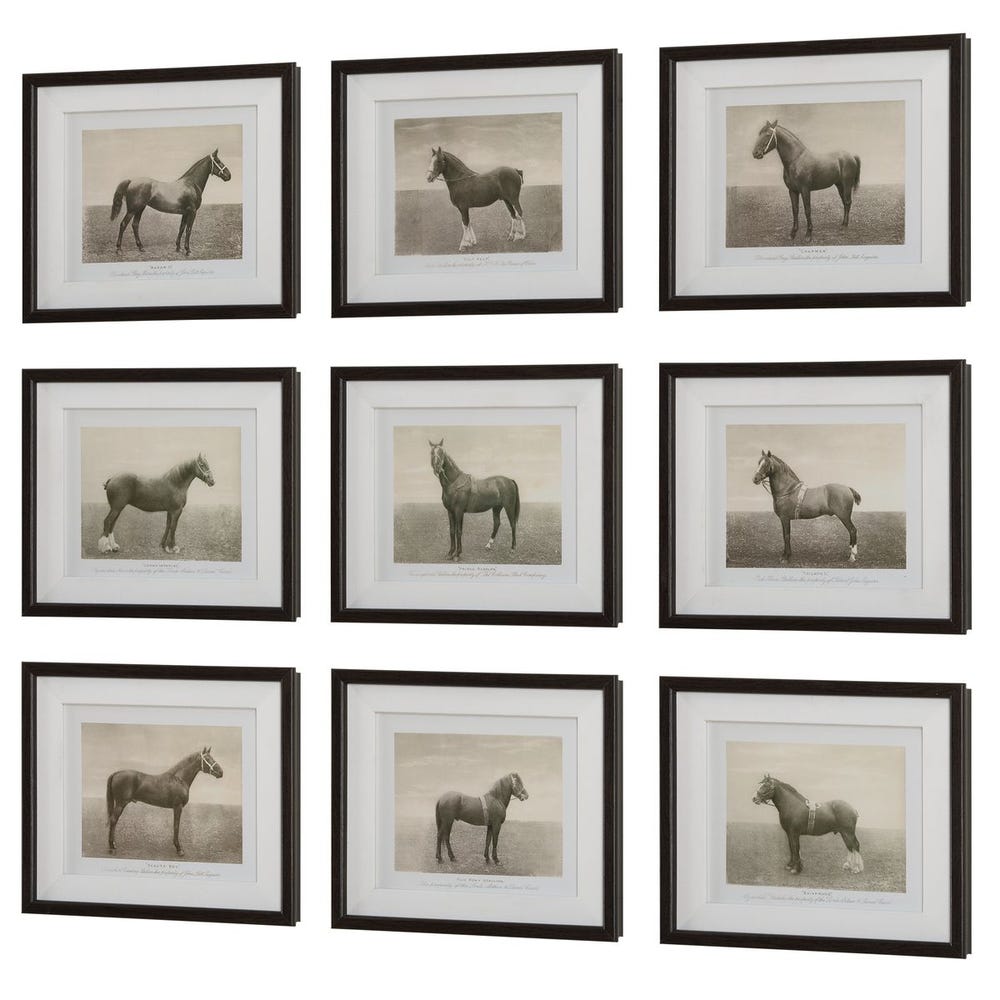 Equine Dynasty Framed Prints - Set of 9