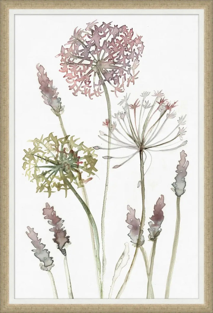 Field Flowers 1