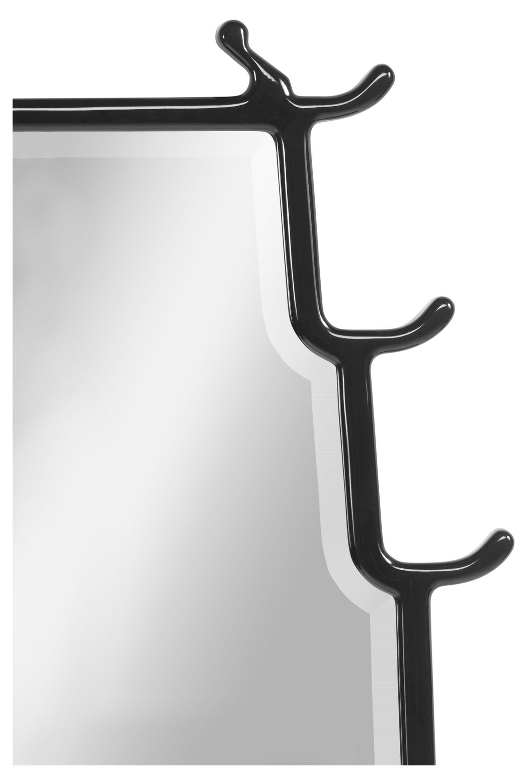 Asian Fusion Smoky Black Floor Standing Mirror