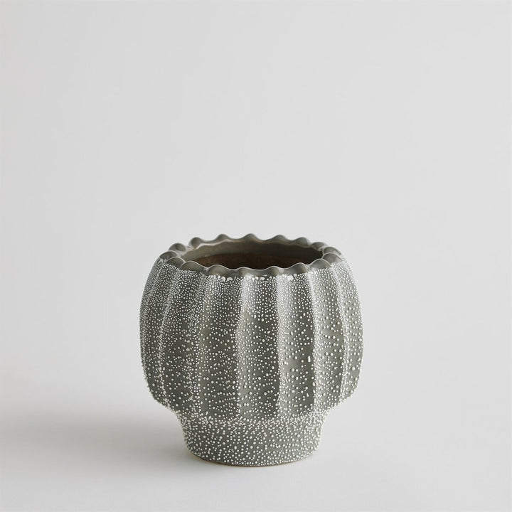 Echinus Vase - Grey - Small