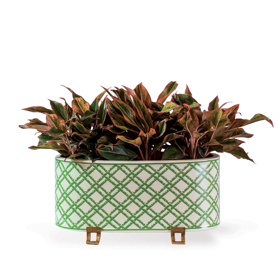 Bamboo Trellis Oval Planter