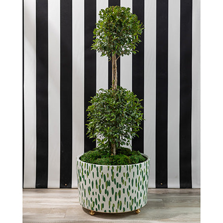 Mill Reef Palm Centre Basin