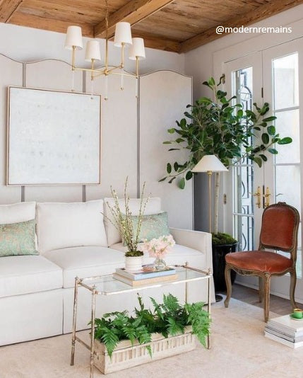 Camille Small Chandelier in Hand-Rubbed Antique Brass