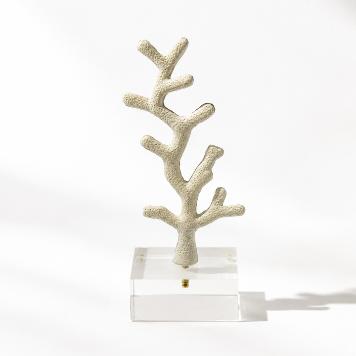 Faux White Coral Object