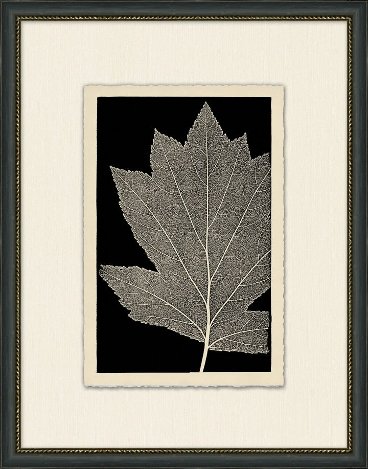 Patterned By Nature 3